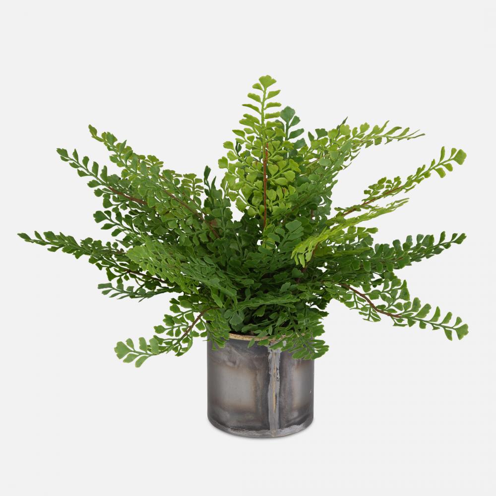 Uttermost Maidenhair Fern In Oxidized Container