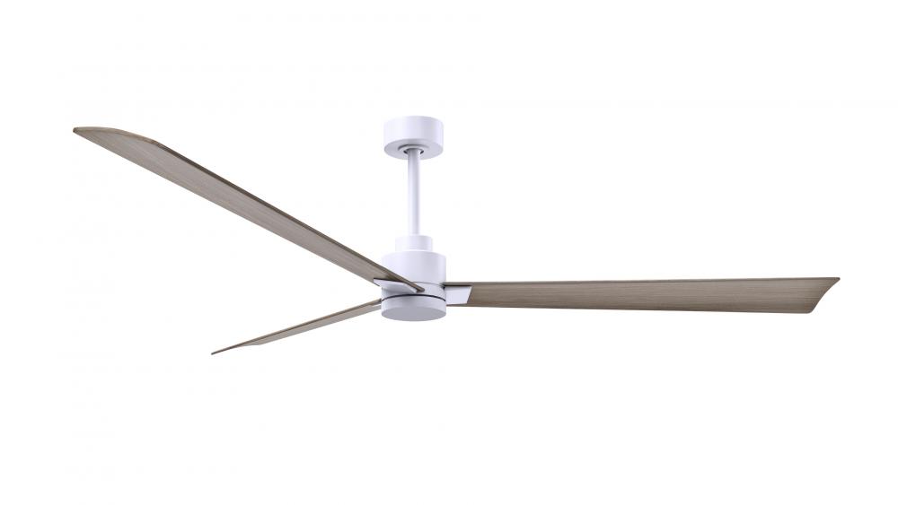 Alessandra 3-blade transitional ceiling fan in matte white finish with gray ash blades. Optimized