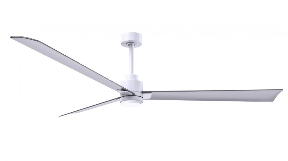 Alessandra 3-blade transitional ceiling fan in matte white finish with brushed nickel blades. Opti