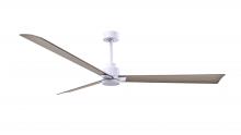 Matthews Fan Company AK-MWH-GA-72 - Alessandra 3-blade transitional ceiling fan in matte white finish with gray ash blades. Optimized