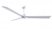 Matthews Fan Company AKLK-MWH-BN-72 - Alessandra 3-blade transitional ceiling fan in matte white finish with brushed nickel blades. Opti