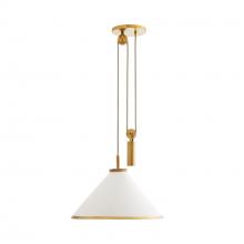 Arteriors Home 49788 - Norfolk Pendant