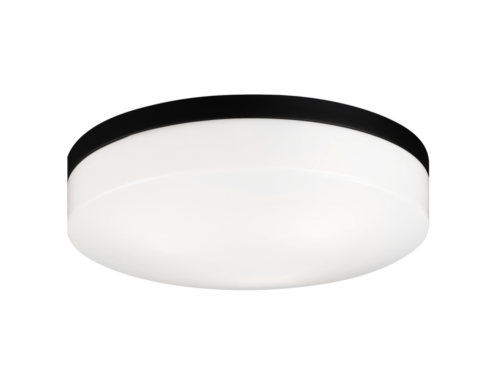 Xenon Black Ceiling Mount