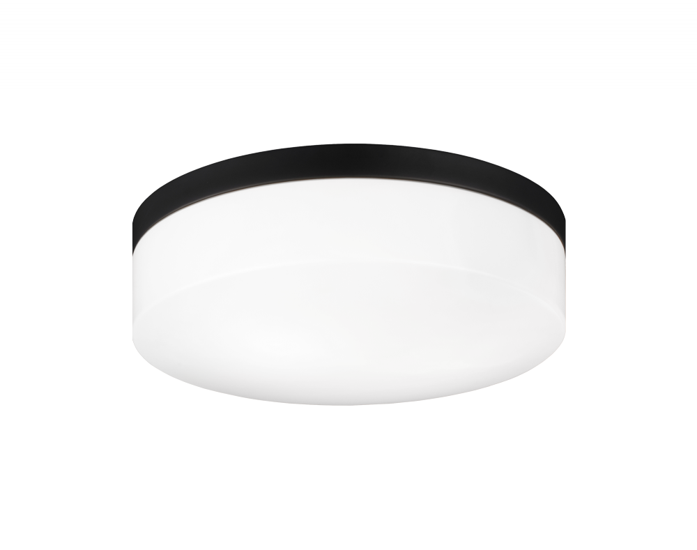 Xenon Black Ceiling Mount