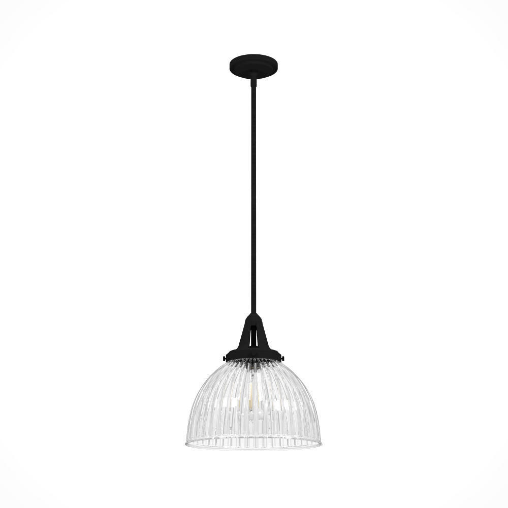 Hunter Cypress Grove Natural Black Iron with Clear Holophane Glass 1 Light Pendant Ceiling Light Fix