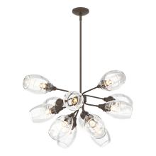 Hubbardton Forge 134515-SKT-MULT-05-ZM0621 - Ensemble Pendant