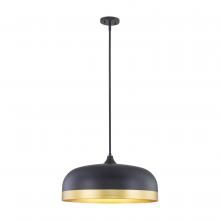 Millennium 99602-MB - Amarra Indoor Pendant