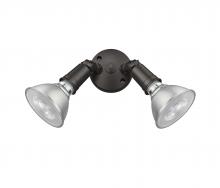 Millennium 16002-PBZ - Security Flood Lights