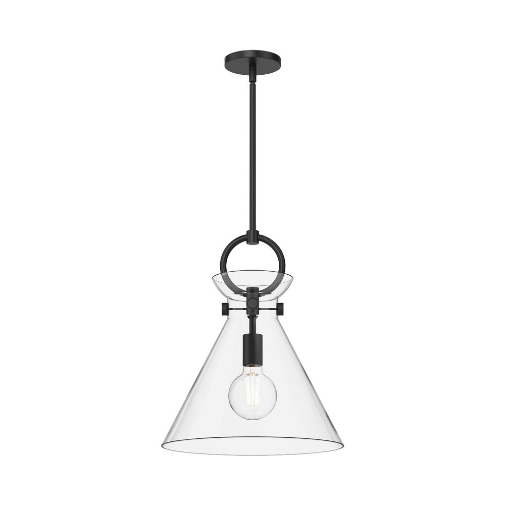 Emerson 14-in Matte Black/Clear Glass 1 Light Pendant