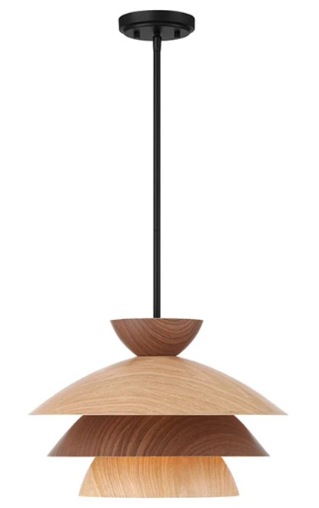 1-Light Pendant in Matte Black