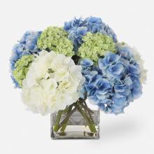 PROVIDENCE HYDRANGEA