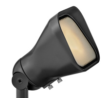 ACCENT FLOOD LIGHT