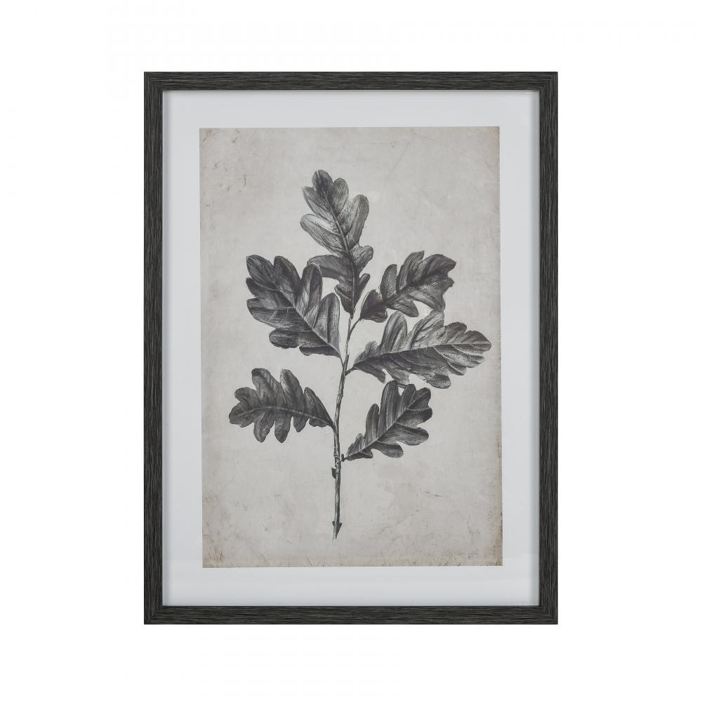 Oak I Botanic Framed Wall Art