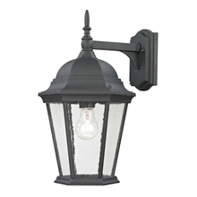 ELK Home 8101EW/65 - Thomas - Temple Hill 18'' High 1-Light Outdoor Sconce - Matte Textured Black